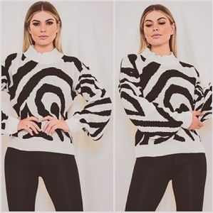 Knitted Long Sleeve Zebra Print Sweater